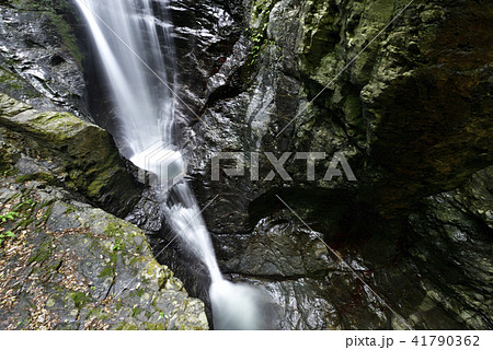 蜻蛉（せいれい）の滝（奈良県吉野郡川上村） 41790362
