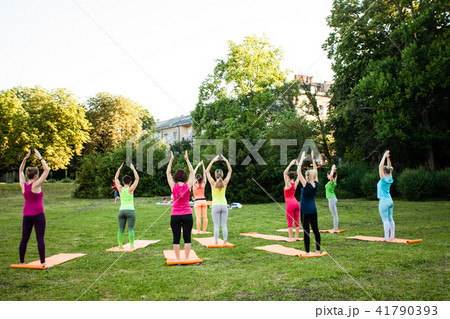 Yoga on a nature Yoga on a nature 41790393