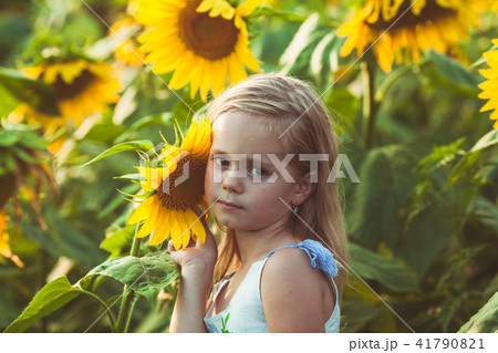 Sunflower is friend for girl Sunflower is friend for girl 41790821