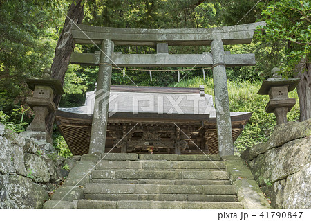 十二所神社（鎌倉市十二所） 41790847