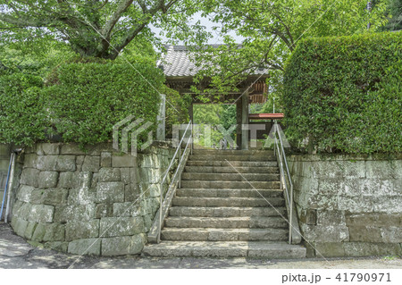 光触寺（鎌倉市十二所） 41790971