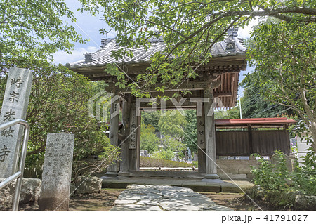光触寺(鎌倉市十二所) 光触寺(鎌倉市十二所) 41791027