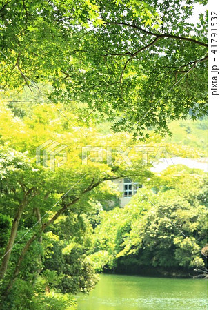 夏の鎌北湖 41791532