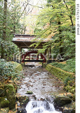弥彦神社　玉の橋 41791718