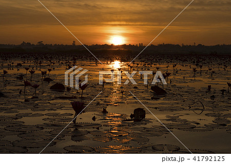 タレーブアデーンの朝日 41792125