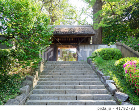 戸定が丘歴史公園 千葉県松戸市 戸定が丘歴史公園 千葉県松戸市 41792733