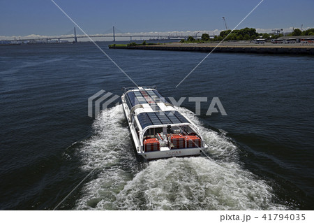 シーバスとベイブリッジ 41794035