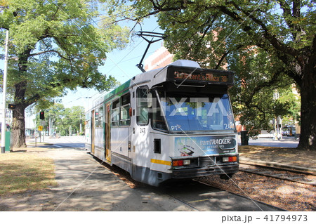 メルボルンのトラム　路面電車　オーストラリア 41794973