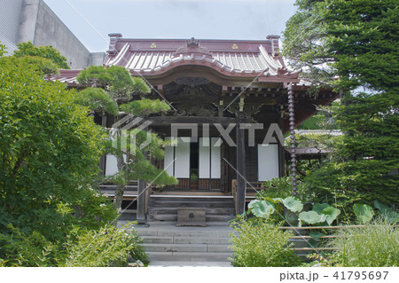 大巧寺・おんめさま(鎌倉市小町) 大巧寺・おんめさま(鎌倉市小町) 41795697