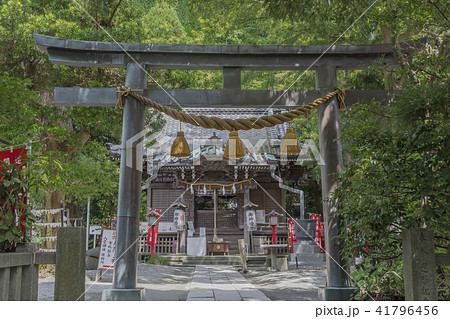 八雲神社(鎌倉市大町) 八雲神社(鎌倉市大町) 41796456