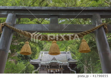 八雲神社(鎌倉市大町) 八雲神社(鎌倉市大町) 41796655