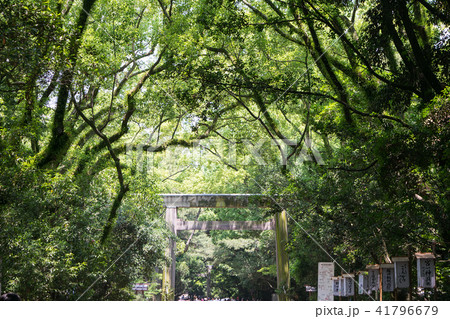 名古屋市　熱田神宮　東参道 41796679