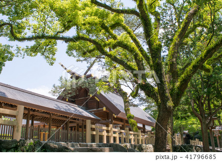 名古屋市　熱田神宮　拝殿 41796685