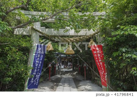 八雲神社（鎌倉市大町） 41796841