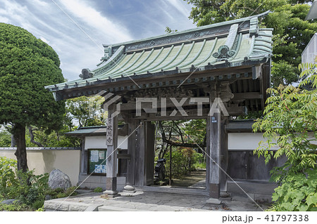 教恩寺(鎌倉市大町) 教恩寺(鎌倉市大町) 41797338