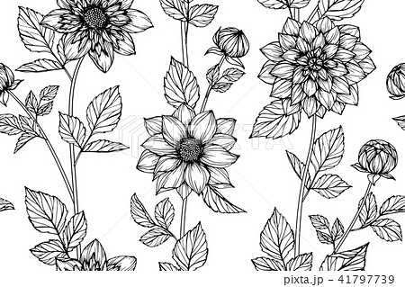 Seamless Dahlia flower pattern background.  41797739