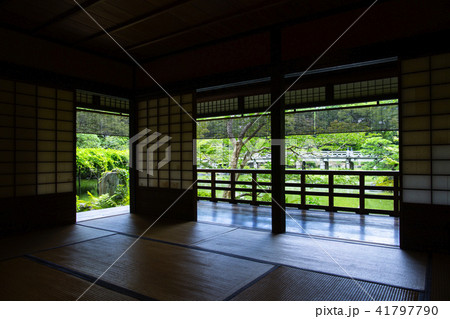 初夏の拾翠亭 初夏の拾翠亭 41797790