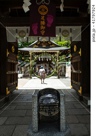 護王神社/夏越の大祓 護王神社/夏越の大祓 41797924