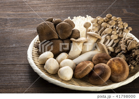 キノコ 41798000