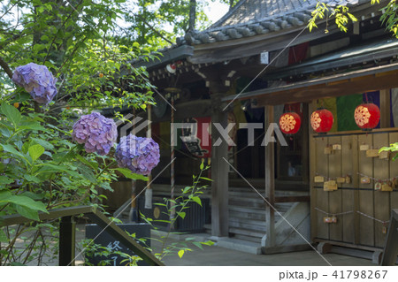 等々力渓谷　等々力不動尊境内 41798267