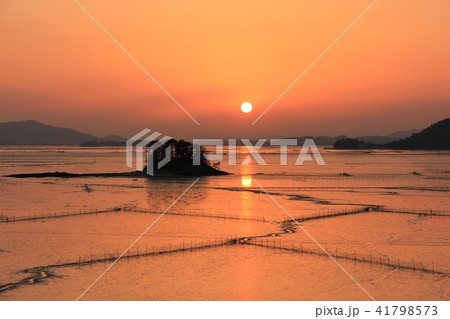 順天湾 夕焼け 干潟 41798573