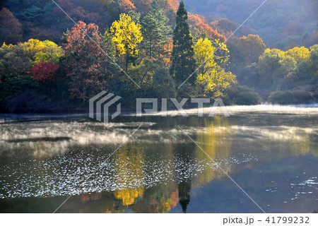 貯水池 全羅南道 秋 41799232