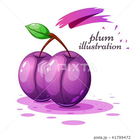 Cartoon plum illustration on the grey background 41799472