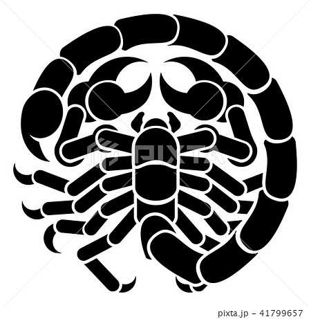 Scorpio Scorpion Zodiac Horoscope Sign 41799657