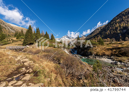 Peak of Care Alto - Adamello Trento Italy 41799744