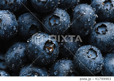 Fresh blueberry with water drops 41799963