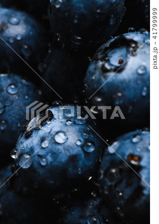 Fresh blueberry with water drops Fresh blueberry with water drops 41799999