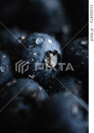 Fresh blueberry with water drops Fresh blueberry with water drops 41800035