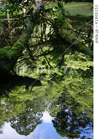 シラヌタの池 41800151