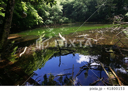 シラヌタの池 シラヌタの池 41800153