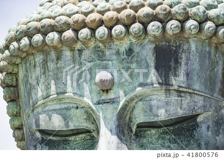 【鎌倉 大仏】 【鎌倉 大仏】 41800576