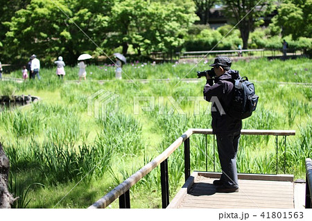 アマチュア写真家（趣味） 41801563