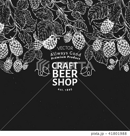 Beer hop design template. Retro beer background. Vector hand drawn hop illustration on chalk board 41801988