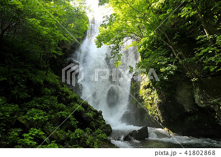 壮瞥滝 壮瞥滝 41802868