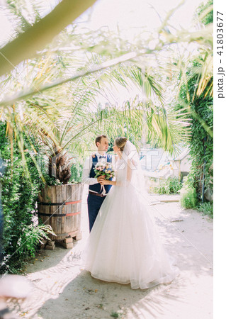 The walking newlywed couple along the beautiful greenhouse. The walking newlywed couple along the beautiful greenhouse. 41803677