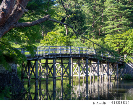 【伊豆】日本庭園の木橋【修善寺虹の郷】 【伊豆】日本庭園の木橋【修善寺虹の郷】 41803814