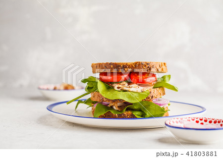 Sandwich with meat and vegetables on a white plate 41803881