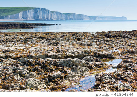 White chalk cliffs Cuckmere Haven 41804244