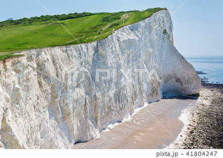 White chalk cliffs Seaford Head, UK 41804247