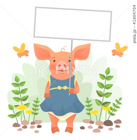 piggy holding sign piggy holding sign 41804704