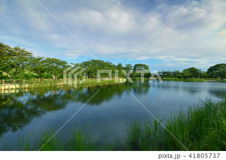 長生村尼ヶ台総合公園 長生村尼ヶ台総合公園 41805737