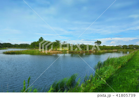長生村尼ヶ台総合公園 41805739