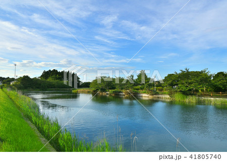 長生村尼ヶ台総合公園 長生村尼ヶ台総合公園 41805740