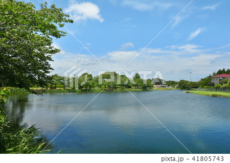 長生村尼ヶ台総合公園 41805743