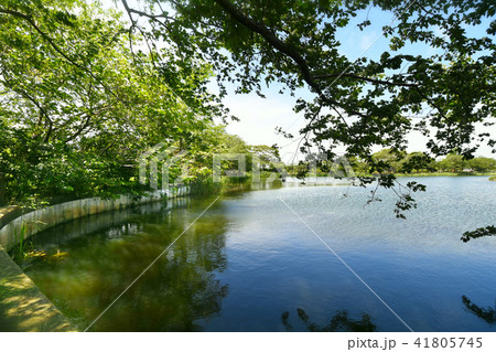 長生村尼ヶ台総合公園 41805745