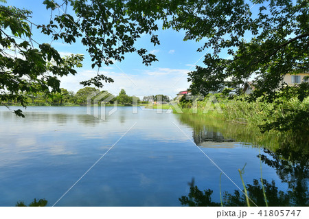 長生村尼ヶ台総合公園 41805747